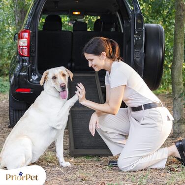 Рампа для собак у машину, складна – 174 см x 38 см – гумовий антиковзкий килимок – для великих собак, авто/SUV – вантажопідйомність 85 кг – темно-сіра