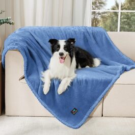 колір: марієлла марієлла, дік