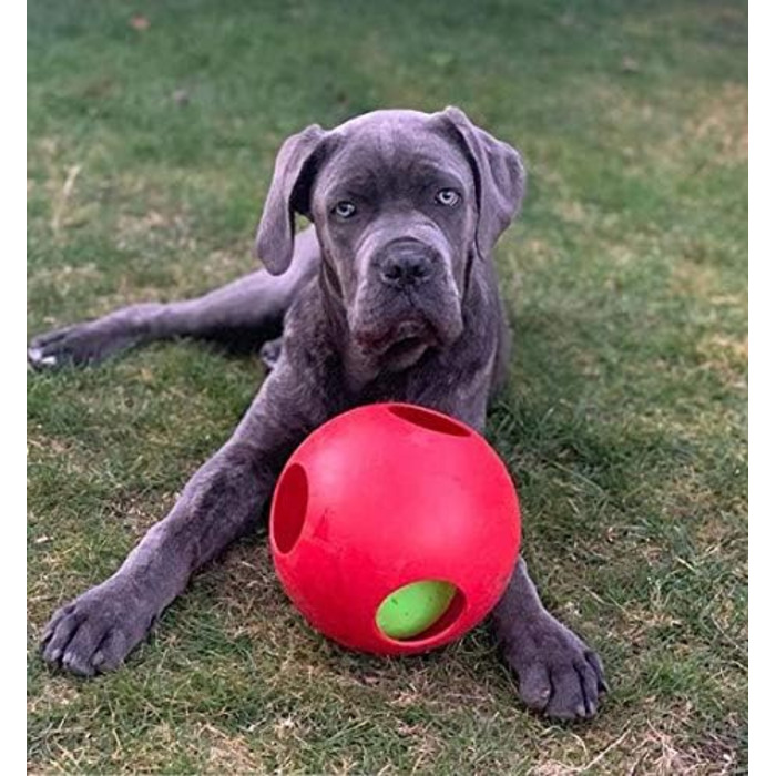 Іграшка для собак Jolly Pets Teaser Ball 20 см, червона