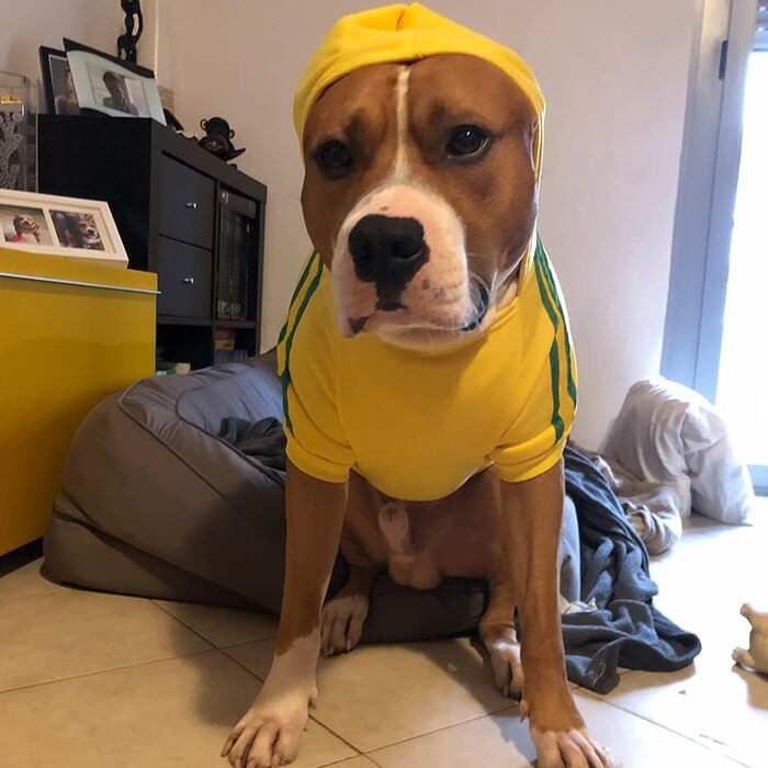 Теплий пуловер/куртка для собак, чорний, розмір 8XL