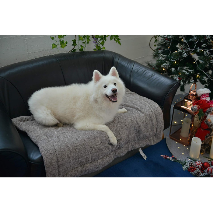 М'яка ковдра для домашніх тварин Raikou: ковдра для собак та котів з плюшевою подушкою, флісова, зручна та нековзна