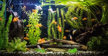 LED-лампа 5630 для акваріума 180 см, FI20