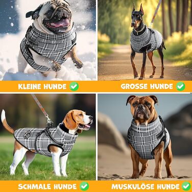 LOVPET® зимова куртка для собак 2XL, сіра, водонепроникна, утеплена, з вбудованим шлейкою, світловідбивачами, D-кільцем, 45 пакетів для прибирання та диспенсером