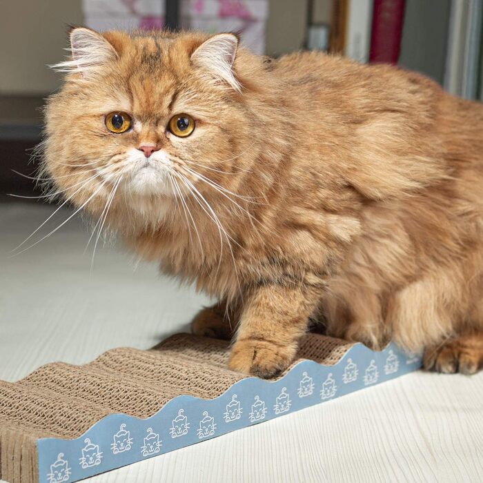 Bella & Balu: Набір з 3 картонних когтеточок для котів | Когтеточка-картон, когтеточка-стійка, захист меблів