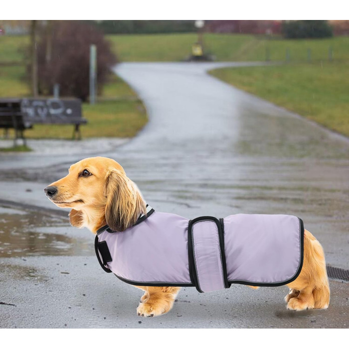 Дощовик для собак Geyecete, регульований, водовідштовхуючий, для такс, з світловідбиваючими ременями, з поясом на липучці, розмір M (довжина спини 42-45 см), колір фіолетовий