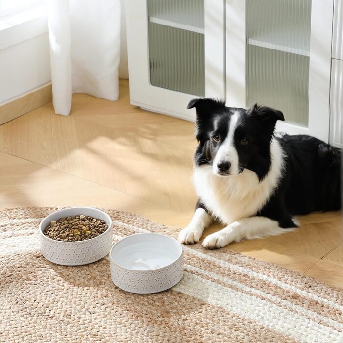 Миска для собак Malacasa з підставкою з горіхового дерева, 450 мл, подвійна миска для собак та котів, для корму та води, неслизька підставка, дизайн у формі п'ятипелюсткового клеверу та соти (1000 мл * 1, п'ятипелюстковий клевер)
