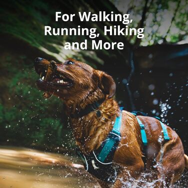 Шлея Ruffwear Flagline з ручкою, легка регульована шлейка для собак, 3 точки кріплення повідка, посилений ремінь і міцний V-подібний металевий кільце, синя, XXS (33-43 см)
