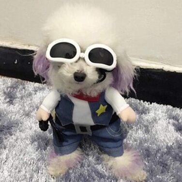 Джинсова куртка Meihejia Cowboy Jacke/Löwe Mähne для собак та котів, розмір M - супер милий костюм