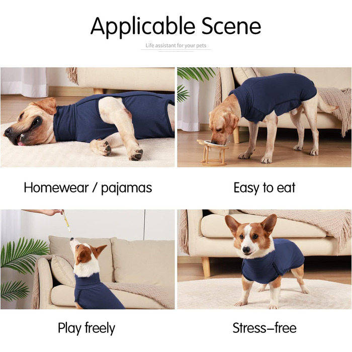 Світшот для собак Heywean з флісу, теплий пуловер для маленьких та середніх собак, зимовий одяг для дому та вулиці, M (упаковка з 1), темно-синій