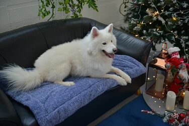 Підстилка для собак та котів Raikou з плюшевою подушкою, флісова, зручна та нековзна (100x70 см)