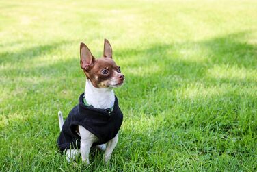 Тепла жилетка JACKO & CO для собак та котів з кільцем для повідка, чорна, розмір XXL (10,8-15,9кг)