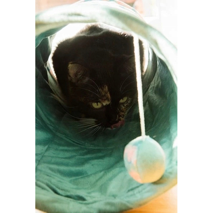 Тунель для котів ZOLUX ETHICAT з іграшкою