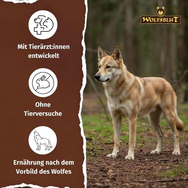 Сухий корм для дорослих собак WOLFSBLUT Wild Duck & Turkey з качкою та індиком, беззерновий, 12.5 кг