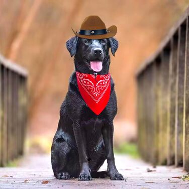Ковбойський костюм для домашніх тварин: капелюх та бандана, комплект аксесуарів для собак та котів, коричневий
