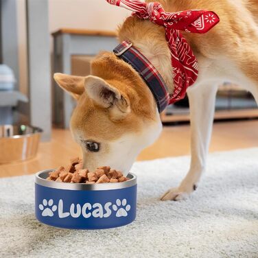 Персоналізований миска для собак та котів – нержавіюча сталева миска з іменем, неслизька годівниця для собак та котів, поїлка (блакитна)