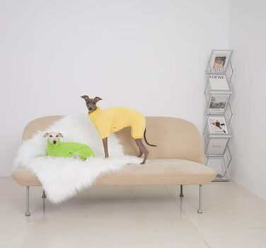 Теплий флісовий комбінезон для собак з мотивом такси, флісовий светр, підходить для такс, зимовий, м'який, зручний, піжама для собак, одяг (темно-зелений, розмір M), темно-зелений (XS(2.5kg), світло-зелений)