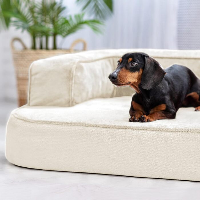 Ортопедичне собаче ліжко Tierlando Sharleen VISCO Plus з м'якої тканини Тедді, 80x60 см, колір: кремовий