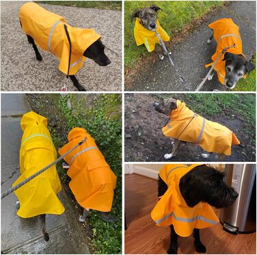 Дощовик для собак, дощовий плащ для собак з капюшоном, підходить для шлейки, легкий та світловідбиваючий, для середніх та великих собак (Помаранчевий XL)