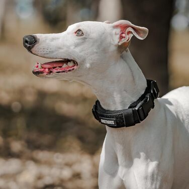 Нашийник для собак OneTigris, тактичний, з ручкою, чорний, S (30-40 см)