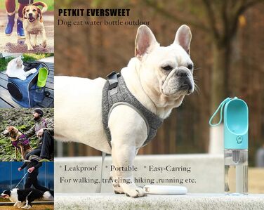PETKIT Eversweet - пляшка для води для собак, 400 мл, блакитна, PET
