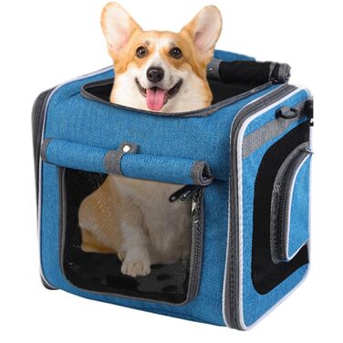 Корзина для собак на велосипеді - переноска для тварин | регульована сумка, вентиляція для транспортування, прогулянок, кемпінгу, велопоїздок, піших прогулянок