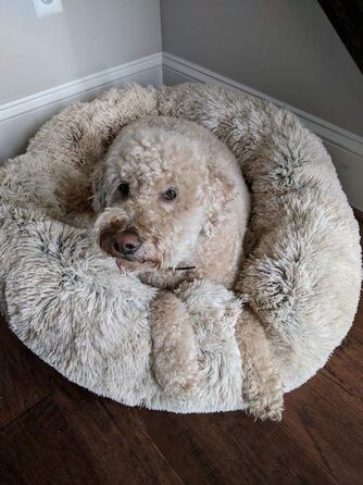 Крісло-гніздо для кота/собаки Donut, затишне ліжко для домашніх тварин з м'якою оббивкою, кругле, плюшеве, 60 см, світло-коричневе