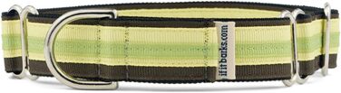 Якщо гавкає Martingale нашийник для собак, нейлоновий, регульований, 2,5 см, середній (38-56 см), Key Lime Pie, вироблено в США