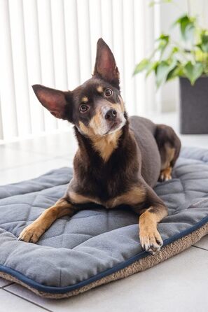 Подушка-сліпер DGS Nano Chenille Lex сірого кольору (78x55x3,5 см)