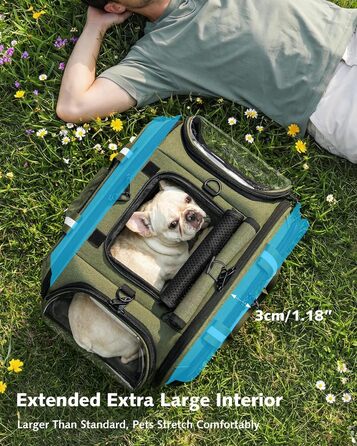 Переноска для котів та собак Pecute XL (55x38x35 см) - складна сумка-переноска з вікном, м'яким килимком, для авто, подорожей, ветеринара, зелена
