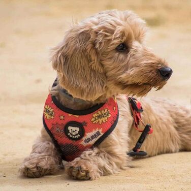 Dukier двостороння шлейка для собак Superdog, XS, з двостороннім принтом