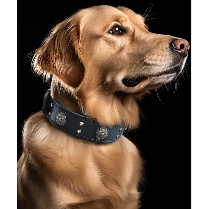 Нашийник для собак з натуральної шкіри, 5 см, чорний, розмір M (46.5-57.5 см)