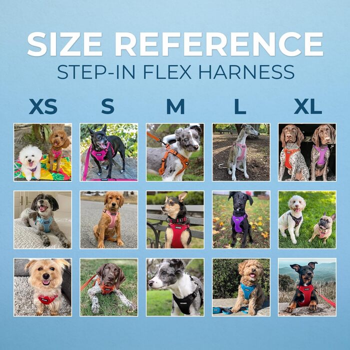 Нашийник та поводок для собак Voyager Step-In Flex з неопренової стропи, 1,8 м, для собак різних порід (XS, Chest: 13-16'), Колір: Королівський синій