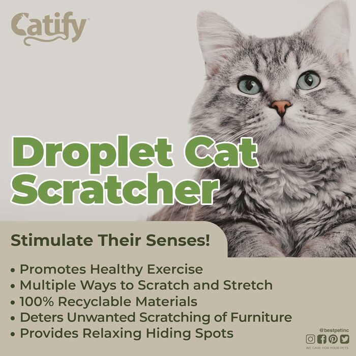 Картонний кігтеточка Catify з котячою м'ятою для котів