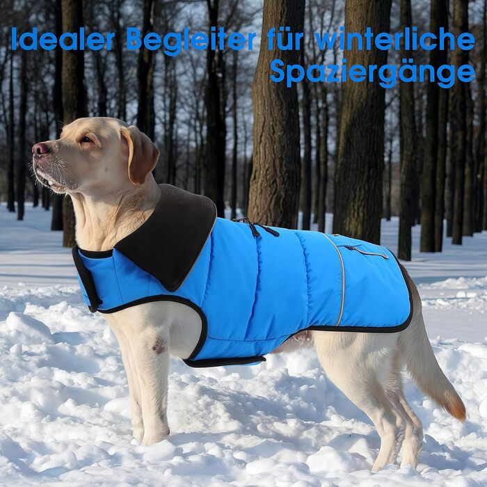 Конвініт Теплий водонепроникний зимовий одяг для собак - тепла куртка для маленьких собак з підкладкою, застібкою-липучкою та світловідбиваючими елементами, синій, S (обхват грудей 44 см)