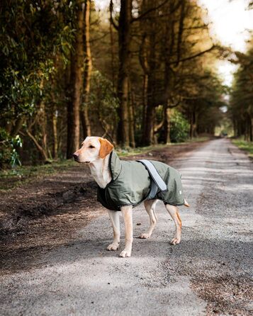 Датський дизайн: водонепроникний дощовик для собак з флісовою підкладкою, відбиваючими елементами, 30.5 см (хакі, 28 x 16 x 1 см)