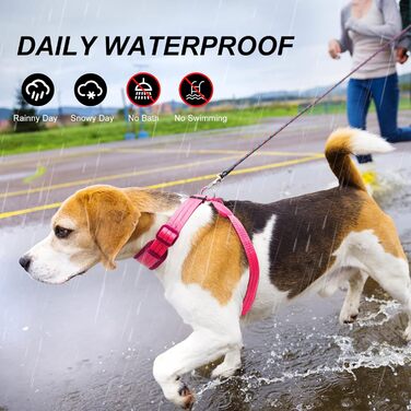 LED світловідбиваючий нашийник для собак PZRLit, світловідбиваючий жилет для собак, перезаряжається, м'який, регульований, світлодіодний нашийник (зелений, рожевий)