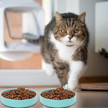 Котло propositions Keramik, 15 * 4 см, годівниця для котів та кошенят (Блакитний)