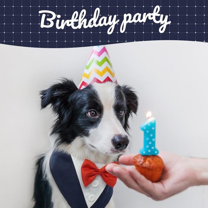 Нашийник для собак Kuoser, святковий аксесуар, великий розмір (L), блакитний