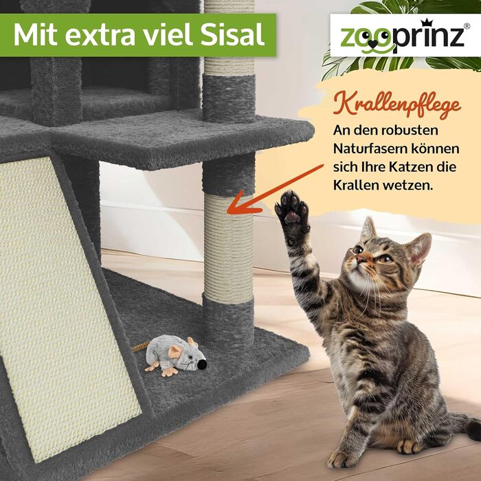 Zooprinz Преміум Котячий Дерево XXL для великих і малих котів, з товстими сизалевими стовпами, ігровою печерою, гамаком, м'ячиками, канатом і плюшевою мишею, темно-сірий