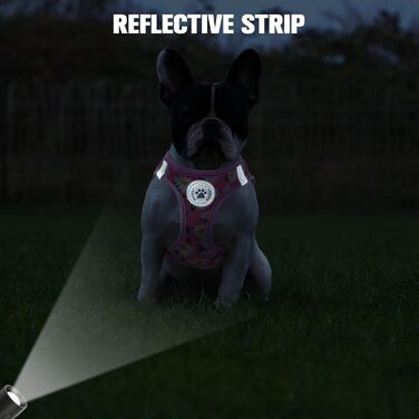 Нашийник та поводок для собак та котів BeautyzOO, м'яка сітка, світловідбиваючий, для маленьких та середніх цуценят, в клітинку, XS/S, (41-46см обхват грудей), рожевий, з квітковим принтом