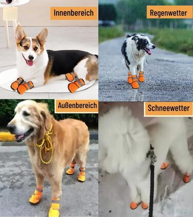 Чоботи для собак: захист лап, антиковзка підошва, для активного відпочинку на природі