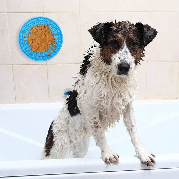 Лежанка-лежак для собак з силікону з присосками, антистрес, навчання, відволікання, без запаху