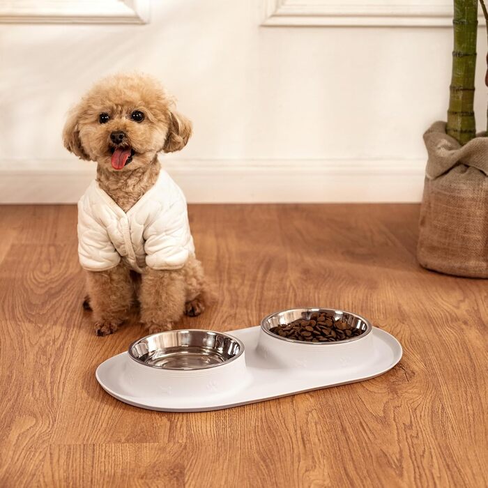 Набір мисок для кота та собаки LAOPET: миска для води та корму, нержавіюча сталь, силіконова підставка, ложка
