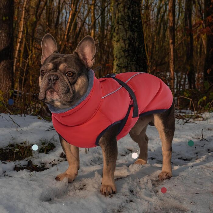 Теплий зимовий одяг для собак IECOii, великий розмір (обхват грудей 53-62 см), червоний, з регулюванням, світловідбиваючий, з флісовим коміром