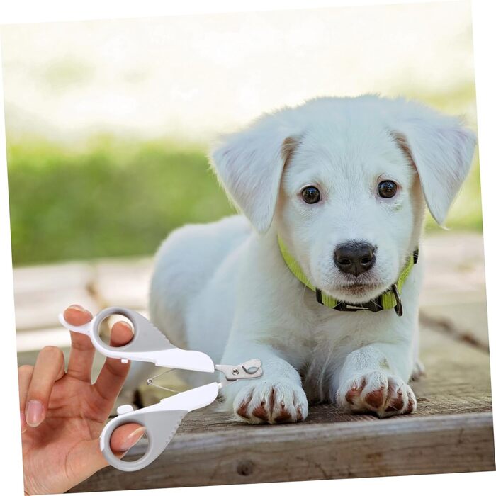 BESPORTBLE 2 шт. Кусачки для нігтів домашніх тварин: для собак та котів. Сталеві кусачки з вигнутим ножем для безпечної та безболісної догляду за нігтями.