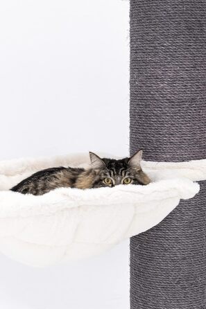 Дряпак для великих котів Petrebels Maine Coon 117 см, преміум-якість, стовпи 20 см, білий