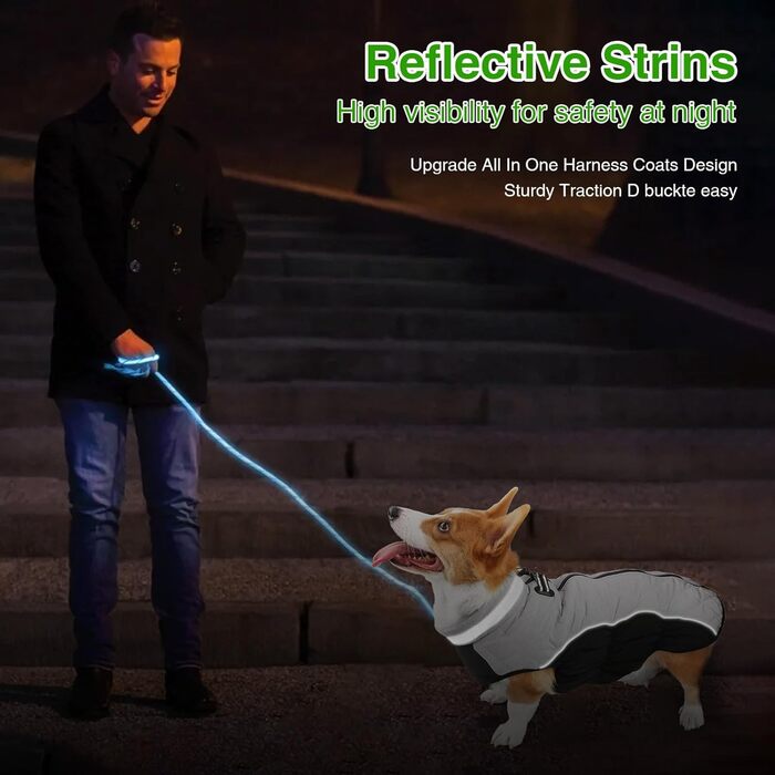 Зимова куртка для собак, водовідштовхувальна, тепла, м'яка, вітрозахисна з кріпленням для повідка, світловідбиваюча, на блискавці, з регульованою застібкою, для маленьких та середніх собак (зелена, сіра, XL)