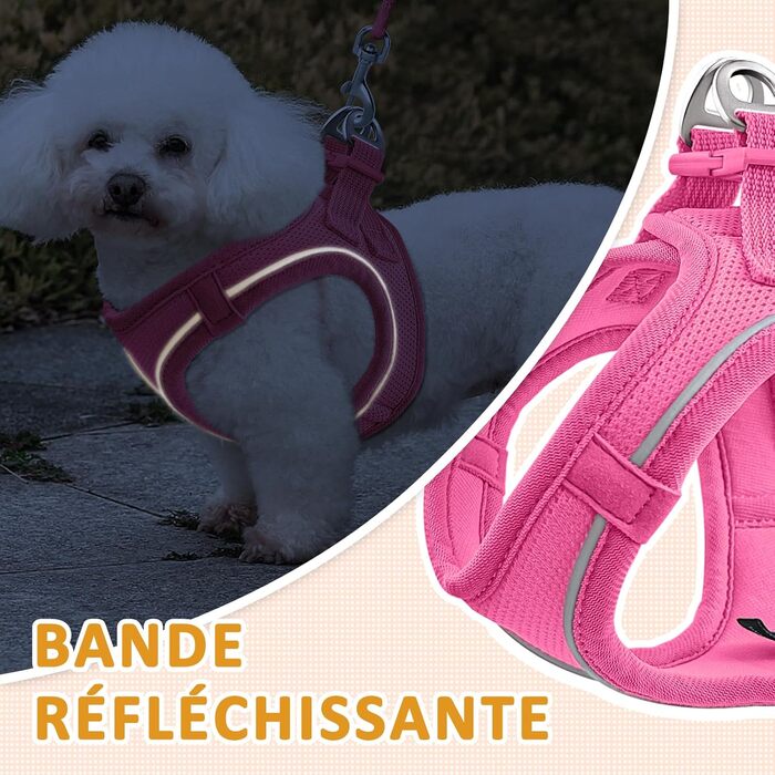 Нашийник для котів Qianruida з повідком, регульований, зручний, дихаючий, світловідбиваючий (Рожевий, XXS)