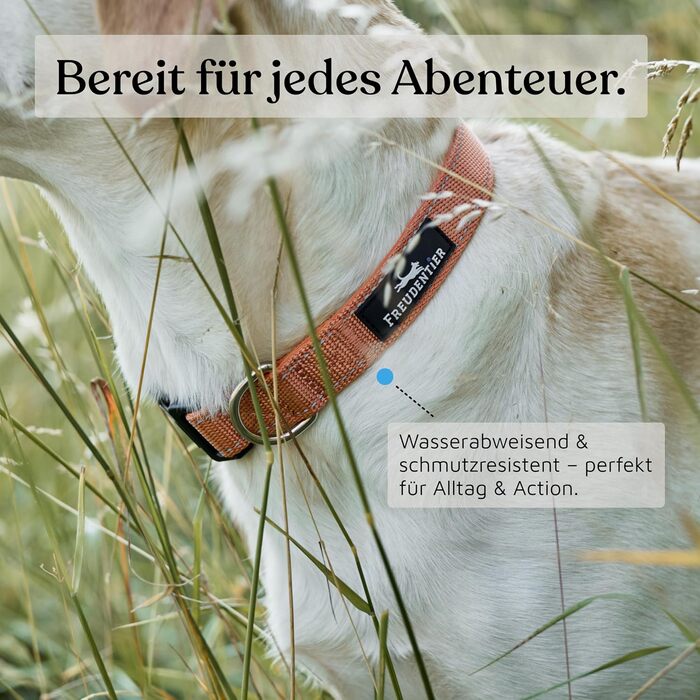 Нашийник для собак Freudentier: м'який, з неопрену, світловідбиваючий, міцний (Sunset Orange, 35-50 см)