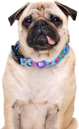 Нашийник для собак DUKIER, регульований, з неопрену, міцний, дизайн 